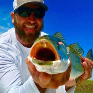 Meet your Posher, Bryan